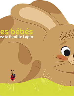 Des bébés chez la famille lapin